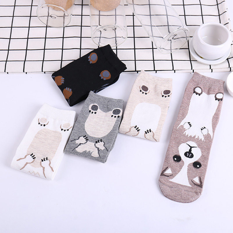 5 Paia/Confezione Calzini Dive - Cotton Crew Sock Pack recensione e prezzo